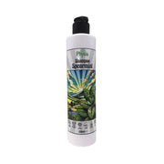 Physis | Shampoo Spearmint