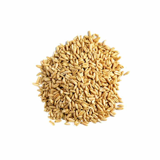 Organic-Bio Oat Grains