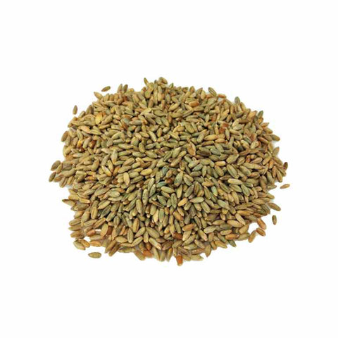 Organic-Bio Rye Grains