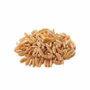 Organic / Bio Spelt Grains